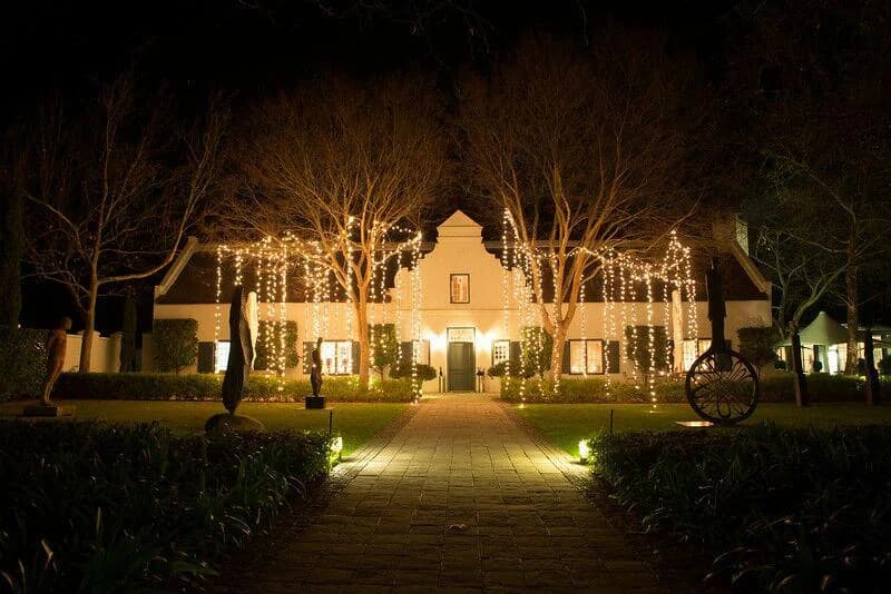 Grande Provence lights hanging from trees